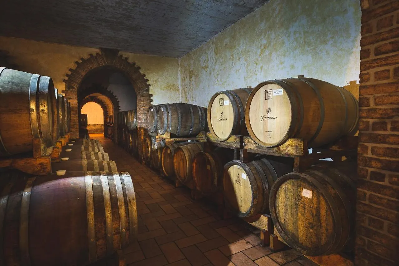 Wine Residence Cattunar Brtonigla Hotel