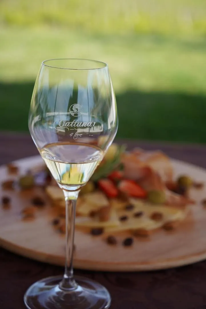 ***** Hotel Wine Residence Cattunar Brtonigla Croatia